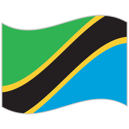 Tanzania Flag